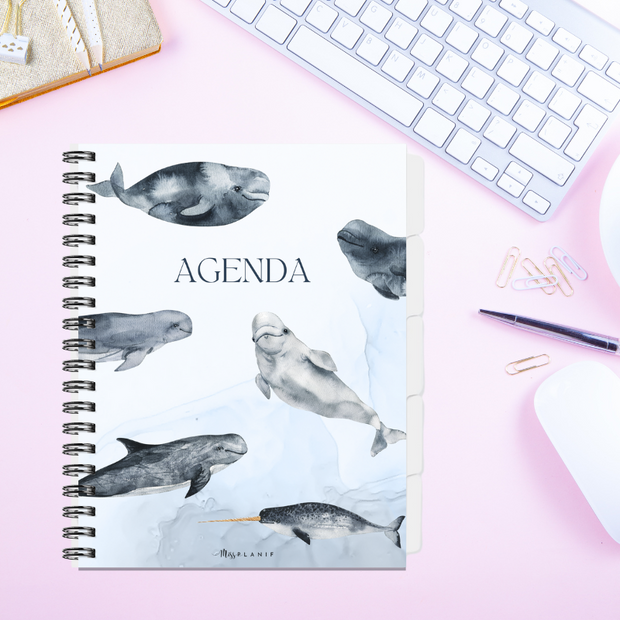 Agenda - Aquatique